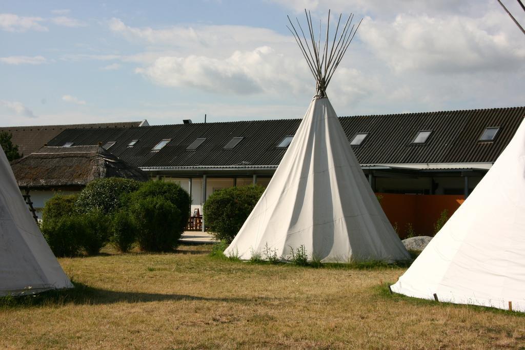 Storchencamp Gaestehaus Purbach Purbach am Neusiedlersee Εξωτερικό φωτογραφία