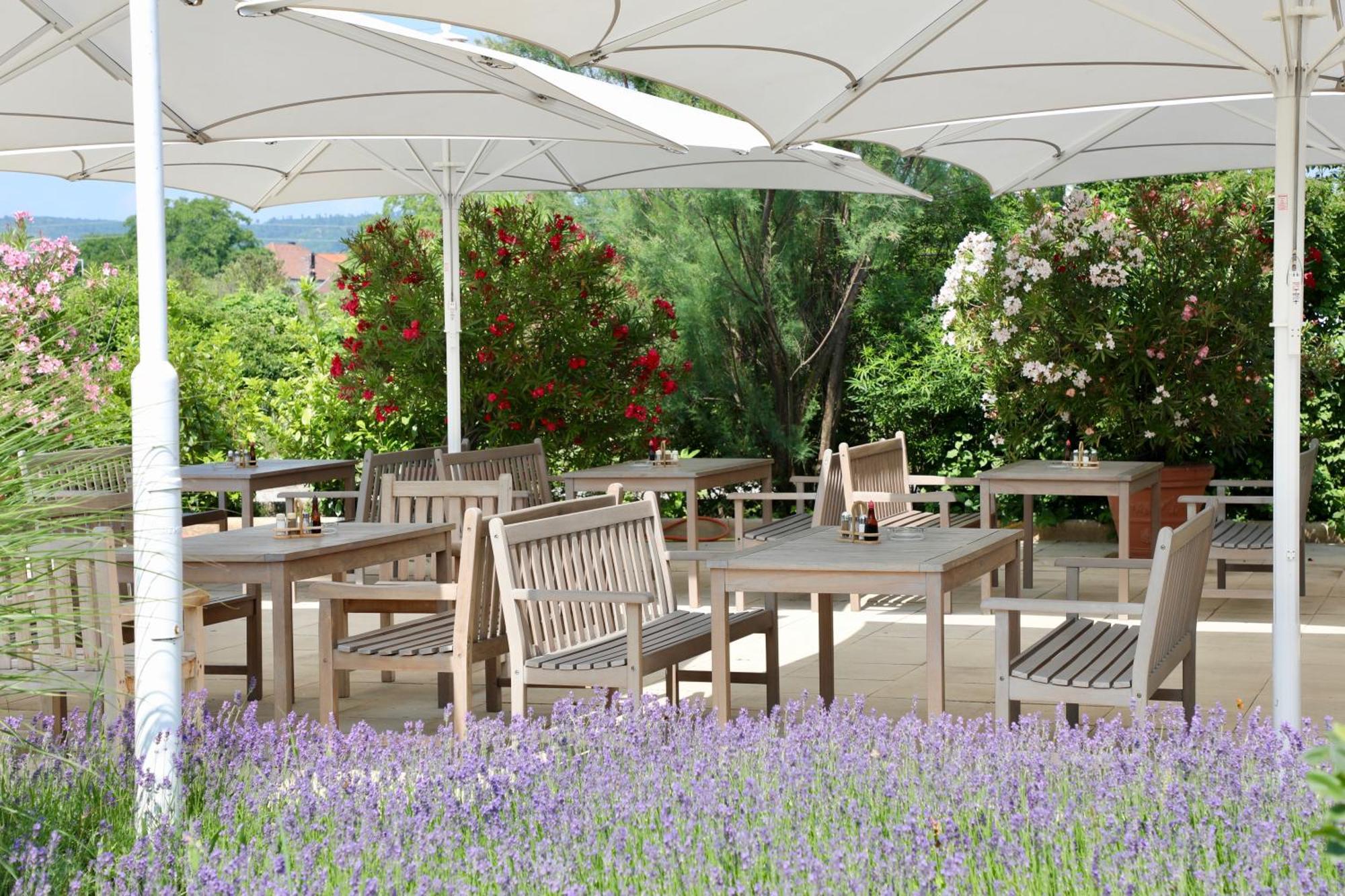 Storchencamp Gaestehaus Purbach Purbach am Neusiedlersee Εξωτερικό φωτογραφία