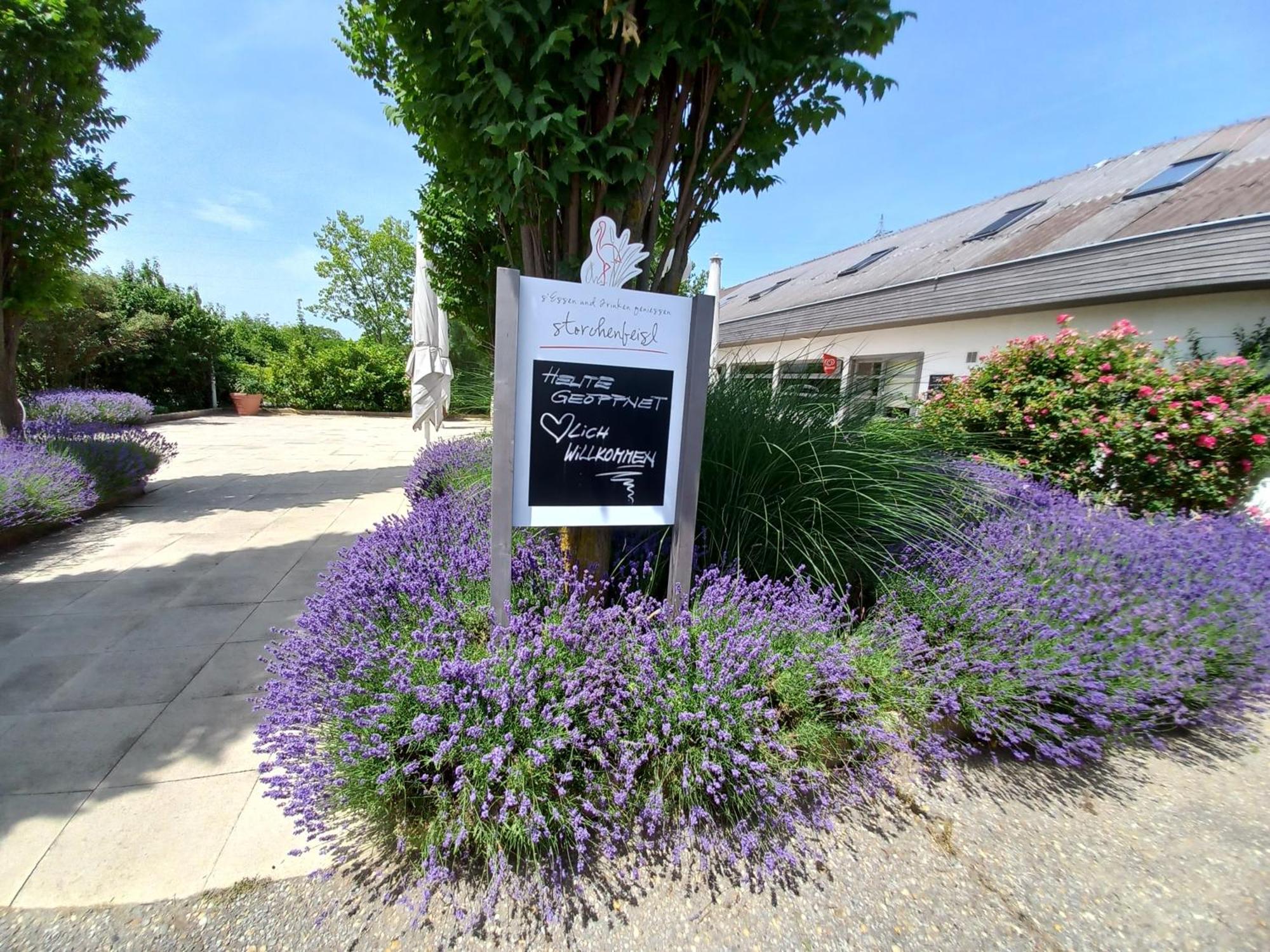 Storchencamp Gaestehaus Purbach Purbach am Neusiedlersee Εξωτερικό φωτογραφία