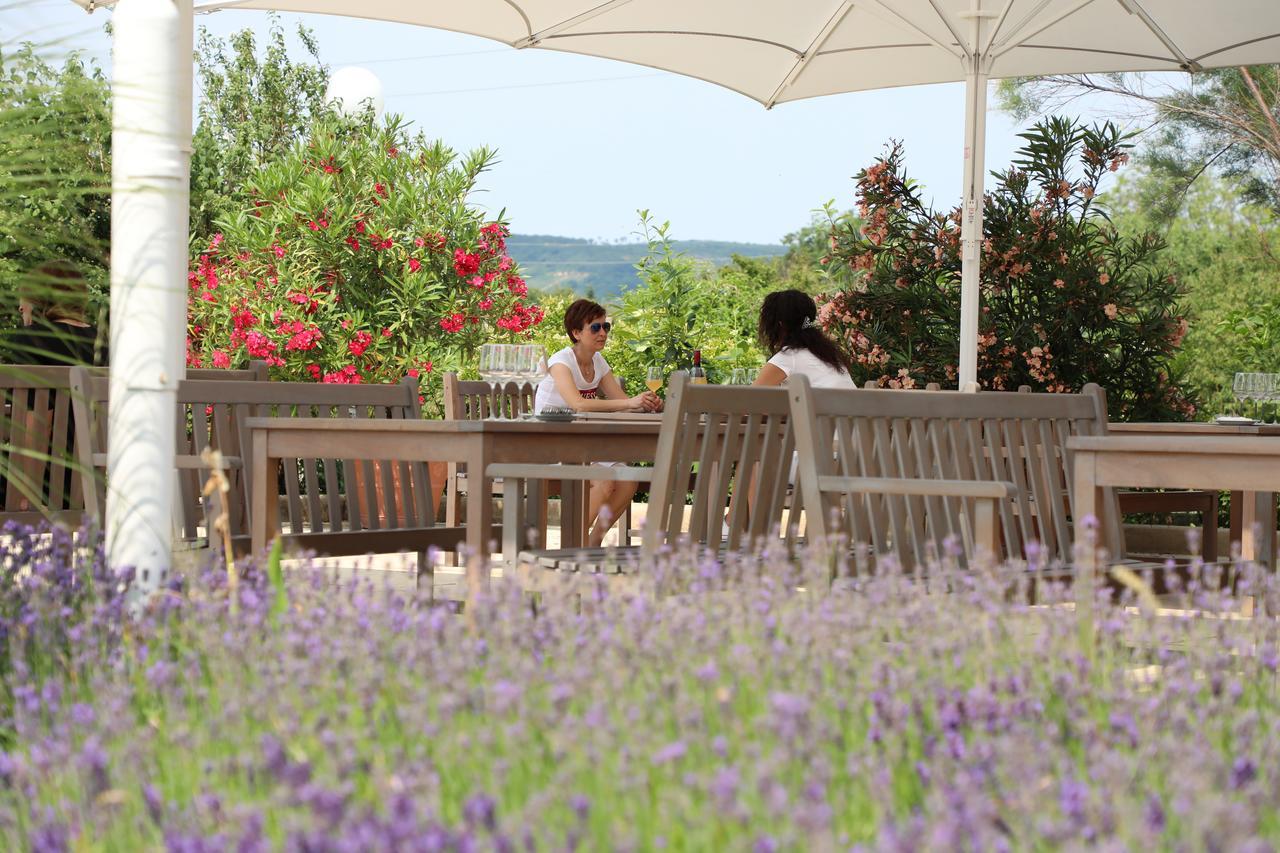 Storchencamp Gaestehaus Purbach Purbach am Neusiedlersee Εξωτερικό φωτογραφία